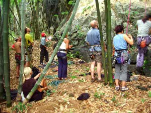 Hoards from Hong Kong at Bamboo Crag