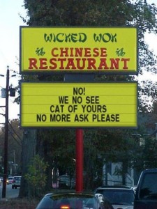 have you seen my cat?