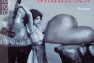 middlesex – jeffrey eugenides