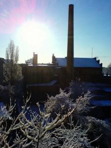 morning snow edged, brilliant sun wide blueness