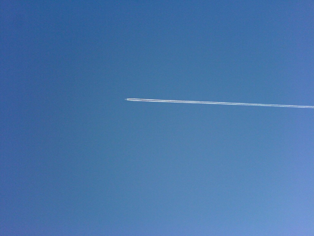 fliegen über adelaide