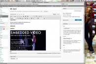 flowplayer, php, wordpress admin