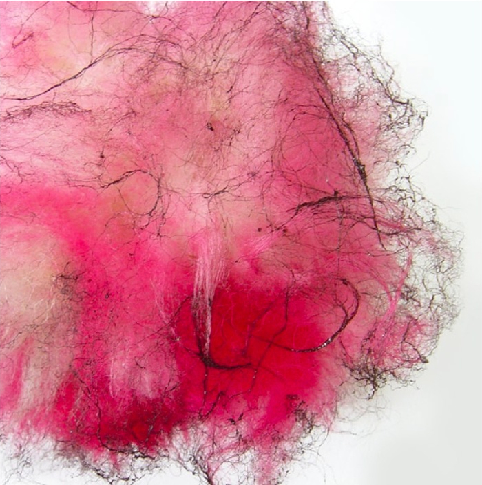 paul emmanuel – fleece painting