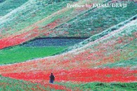 Poetry of the Taliban Poetry of the Taliban