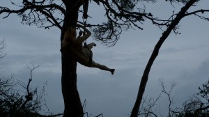 Icarus Tree Suspension Filming – 1