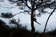 Frances d'Ath Website – Photography