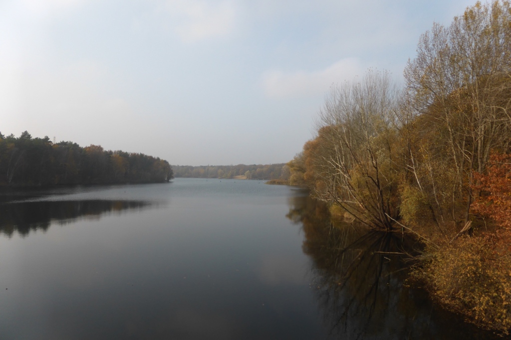 Jungfernheide Forst, Flughafensee