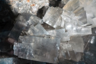 Muzeum Geologiczne ING PAN w Krakowie — 10: Crystal salt, Wieliczha, Grota Kryształowa (detail)
