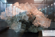 Muzeum Geologiczne ING PAN w Krakowie — 11: Crystal salt, Wieliczha, Grota Kryształowa