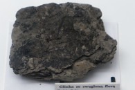 Muzeum Geologiczne ING PAN w Krakowie — 13: Clay with coal flora. Kraków-Dąbie