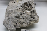 Muzeum Geologiczne ING PAN w Krakowie — 3: Limestone. Oxfordian. Upper Jurassic