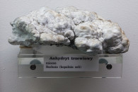 Muzeum Geologiczne ING PAN w Krakowie — 7: Gypsum, Tertiary evaporite horizon, Swoszowice near Kraków, Tertiary