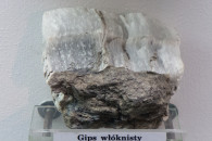 Muzeum Geologiczne ING PAN w Krakowie — 8: Entherolitic Anhydrite, Tertiary evaporite horizon, Bochnia mine, Tertiary