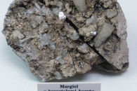 Muzeum Geologiczne ING PAN w Krakowie — 9: Barite-bearing marl, Tertiary evaporite horizon, Swoszowice, Tertiary