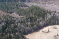 Berlin–Stockhom — 10: Lower. Forest.
