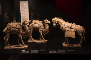 Östasiatiskamuseet — 8: Earthenware tomb figurines of loaded camels and horse. Glazed. Tang Dynasty, 600’s