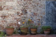 Espace Pasolini, Valenciennes — 6: Flowers in the Courtyard