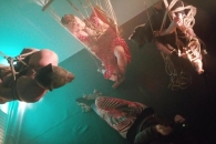 Dasniya Sommer's Staging Shibari/Bondage Workshop