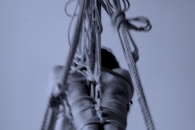 Flute Suspension — Dasniya Sommer & Schnucki der Rennpferd