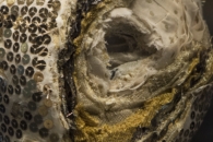 Staatliche Kunstsammlungen Dresden: Albertinum Skulpturensammlung — 2: Birgit Dieker: Kleine Diva. 2007 (detail)